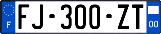 FJ-300-ZT