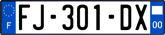 FJ-301-DX