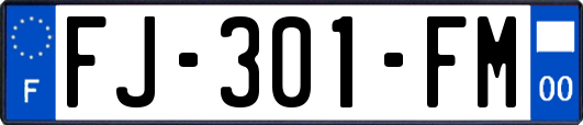 FJ-301-FM