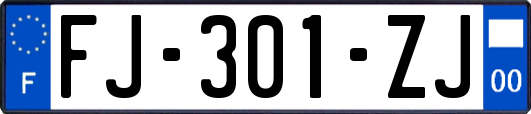 FJ-301-ZJ