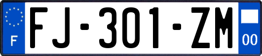 FJ-301-ZM