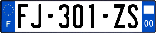 FJ-301-ZS