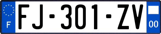 FJ-301-ZV