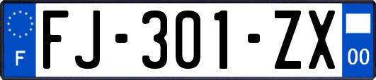 FJ-301-ZX