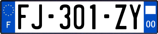 FJ-301-ZY