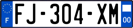 FJ-304-XM