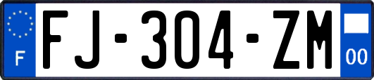 FJ-304-ZM