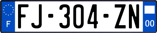 FJ-304-ZN