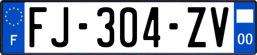 FJ-304-ZV