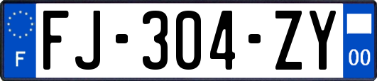 FJ-304-ZY