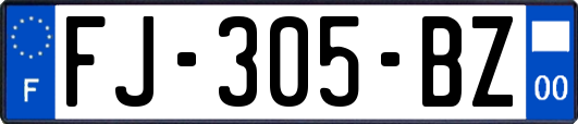 FJ-305-BZ