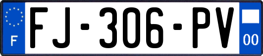 FJ-306-PV