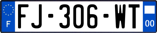 FJ-306-WT