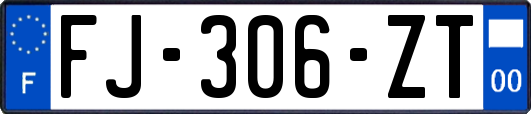 FJ-306-ZT