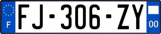 FJ-306-ZY