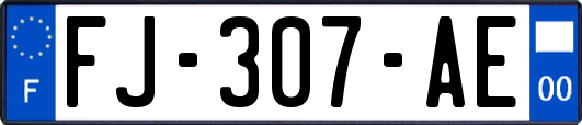 FJ-307-AE