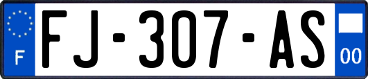 FJ-307-AS