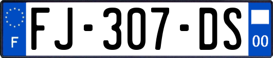 FJ-307-DS