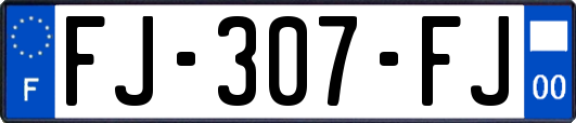 FJ-307-FJ