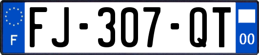 FJ-307-QT