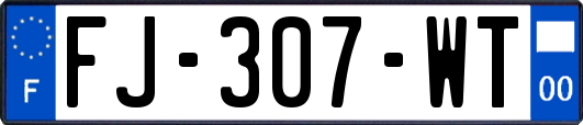 FJ-307-WT