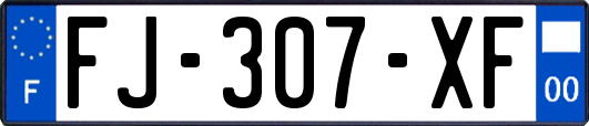 FJ-307-XF