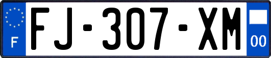 FJ-307-XM