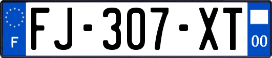 FJ-307-XT
