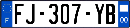 FJ-307-YB