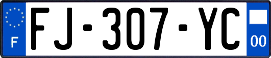 FJ-307-YC