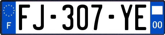 FJ-307-YE