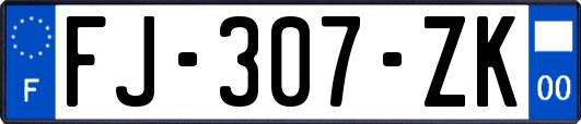 FJ-307-ZK