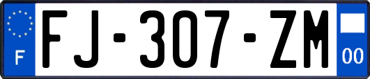 FJ-307-ZM