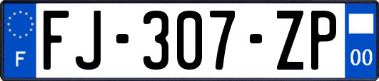 FJ-307-ZP