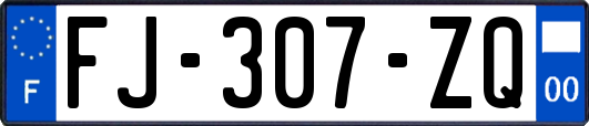 FJ-307-ZQ