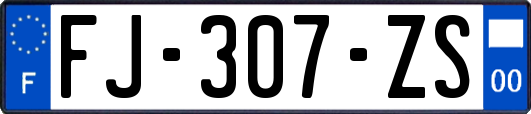 FJ-307-ZS