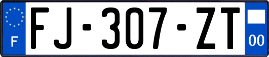 FJ-307-ZT