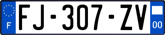 FJ-307-ZV