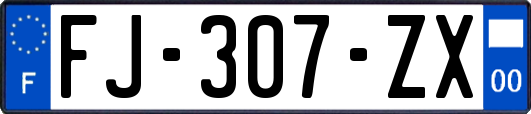 FJ-307-ZX