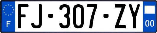 FJ-307-ZY