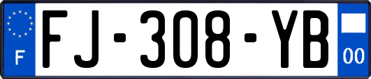 FJ-308-YB