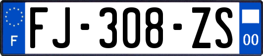 FJ-308-ZS