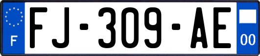 FJ-309-AE