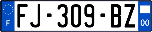 FJ-309-BZ