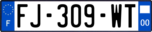 FJ-309-WT