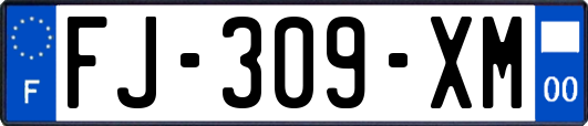 FJ-309-XM