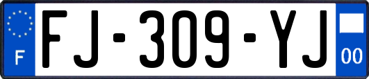 FJ-309-YJ