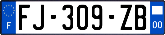 FJ-309-ZB