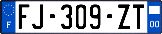 FJ-309-ZT