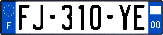 FJ-310-YE